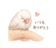 840934222