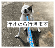 840934507
