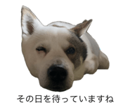840934510