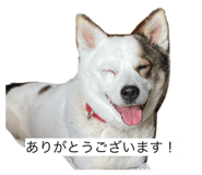 840934520