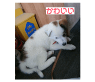 840934532