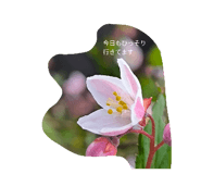 840934726