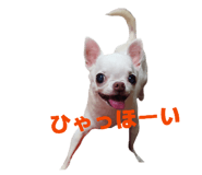 840934802