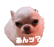 840934803