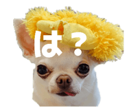 840934806