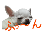 840934808