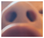 840934863