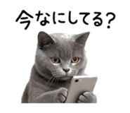 840936183