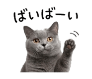 840936186