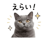 840936189