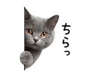 840936190