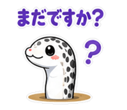 840936243