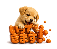 840937991