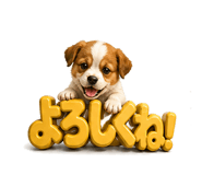 840937998