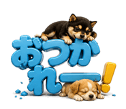 840938002