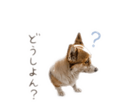 840939275