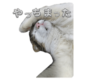 840939380