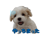 840939723