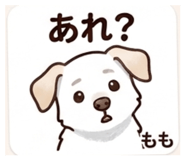 840939898