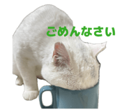 840940010