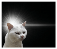 840940020