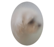840940435