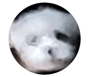 840940448