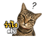 840941875