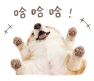 840943137