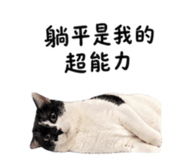 840943530