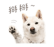 840943917