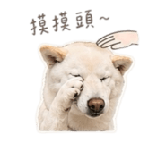 840943918