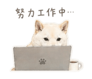 840943925