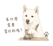 840943934