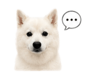 840945578