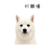 840945586
