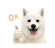 840945589