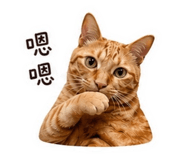 840946027