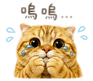 840946221