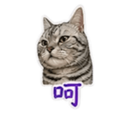 840946969