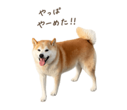 840950248