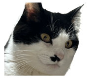 840950855