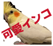 840951125