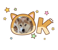 840951134