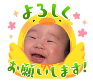 840951213