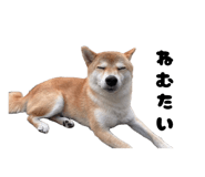 840951234