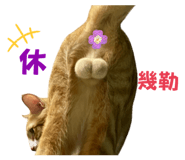 840952795