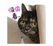 840953299