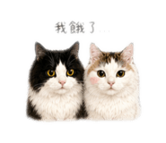 840953956
