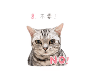 840954088